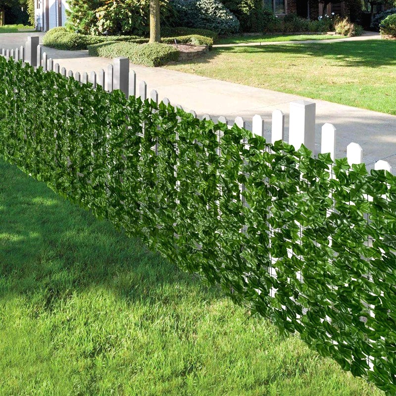 Ivy Wall